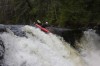 Thumbs/tn_Img_9737.jpg