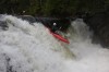 Thumbs/tn_Img_9739.jpg