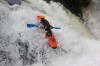 Thumbs/tn_Img_9765.jpg