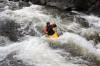 Thumbs/tn_Img_9790.jpg