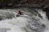 Thumbs/tn_Img_9839.jpg