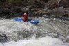 Thumbs/tn_Img_9850.jpg