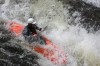 Thumbs/tn_Img_9872.jpg