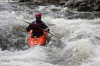 Thumbs/tn_Img_9877.jpg