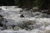 Thumbs/tn_Img_9895.jpg