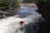 Thumbs/tn_Img_9930.jpg