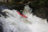 Thumbs/tn_Img_9959.jpg