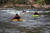 Thumbs/tn_Img_9976.jpg