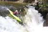 Thumbs/tn_Img_9980.jpg