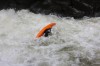 Thumbs/tn_Img_9995.jpg
