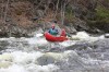 Thumbs/tn_Img_8607.jpg
