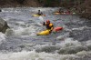 Thumbs/tn_Img_8620.jpg