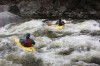 Thumbs/tn_Img_8634.jpg