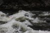 Thumbs/tn_Img_8717.jpg
