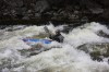 Thumbs/tn_Img_8720.jpg
