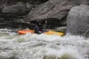 Thumbs/tn_Img_8732.jpg