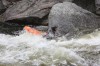 Thumbs/tn_Img_8734.jpg