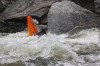 Thumbs/tn_Img_8735.jpg