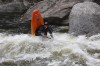 Thumbs/tn_Img_8736.jpg