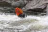 Thumbs/tn_Img_8737.jpg