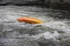 Thumbs/tn_Img_8741.jpg