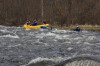 Thumbs/tn_Img_8760.jpg