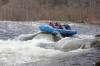 Thumbs/tn_Img_8788.jpg