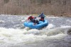 Thumbs/tn_Img_8790.jpg