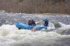 Thumbs/tn_Img_8795.jpg