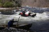 Thumbs/tn_Img_8929.jpg