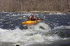 Thumbs/tn_Img_8992.jpg
