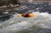 Thumbs/tn_Img_8997.jpg