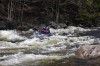 Thumbs/tn_Img_9098.jpg