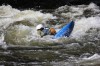 Thumbs/tn_Img_9128.jpg
