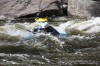 Thumbs/tn_Img_9131.jpg