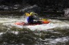 Thumbs/tn_Img_9163.jpg