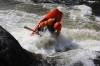 Thumbs/tn_Img_9202.jpg