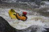 Thumbs/tn_Img_0496.jpg