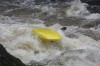 Thumbs/tn_Img_0503.jpg
