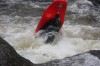 Thumbs/tn_Img_0537.jpg