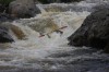 Thumbs/tn_Img_8650.jpg