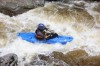 Thumbs/tn_Img_8667.jpg
