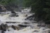 Thumbs/tn_Img_8742.jpg