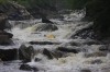 Thumbs/tn_Img_8745.jpg