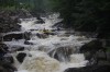 Thumbs/tn_Img_8760.jpg