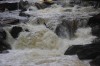 Thumbs/tn_Img_8766.jpg