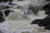 Thumbs/tn_Img_8767.jpg
