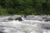 Thumbs/tn_Img_9190.jpg