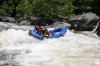 Thumbs/tn_Img_0462.jpg