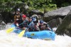 Thumbs/tn_Img_0511.jpg